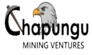 Portfolio Company